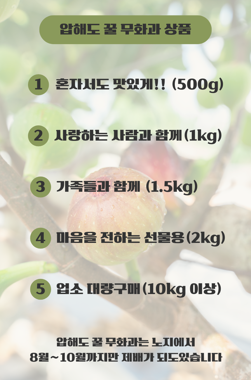 상세페이지 5